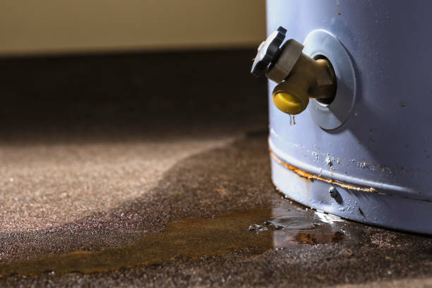 Best 24/7 water damage repair  in Trowbridge Park, MI