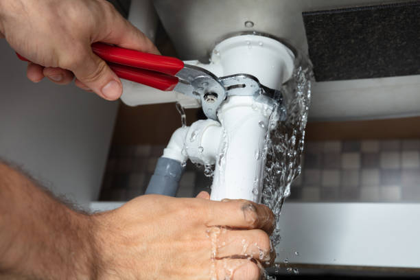 Best Ceiling water damage repair  in Trowbridge Park, MI