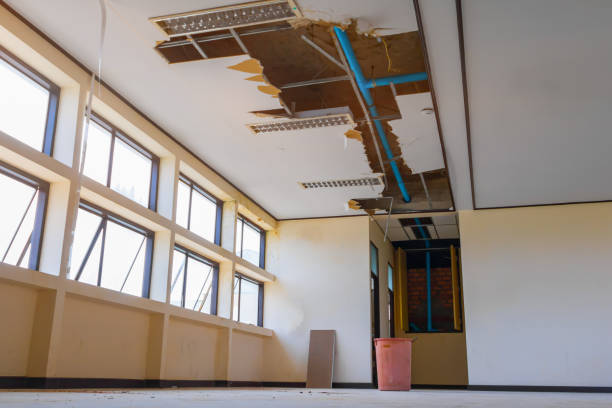 Best Ceiling water damage repair  in Trowbridge Park, MI