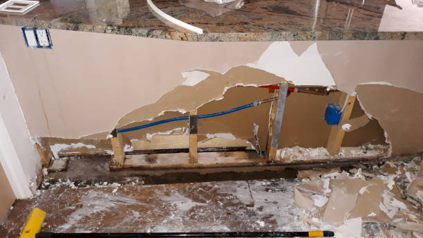 Best Water damage restoration near me  in Trowbridge Park, MI