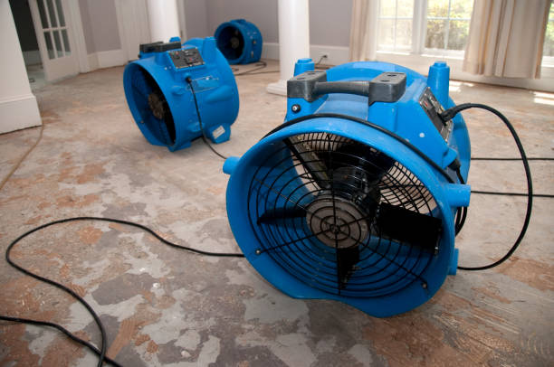 Best Flood restoration services  in Trowbridge Park, MI