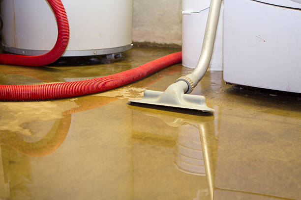 Best Fire Damage Restoration  in Trowbridge Park, MI